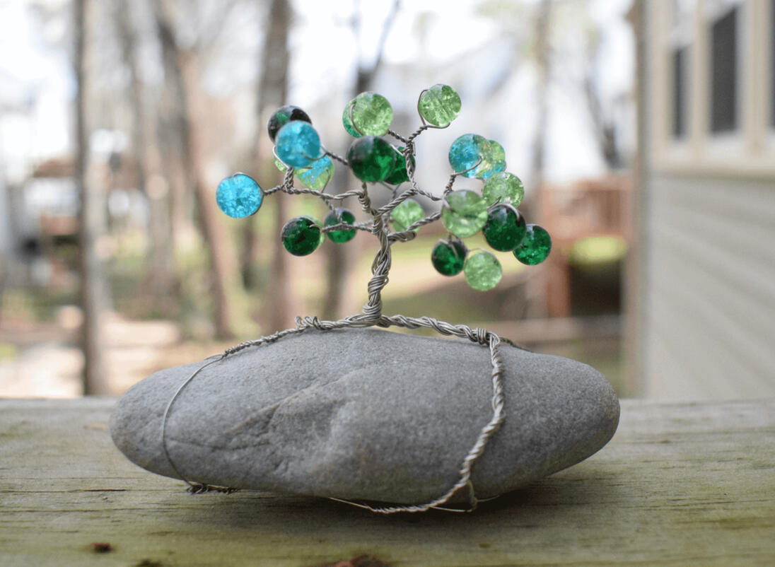 Medium sized tree